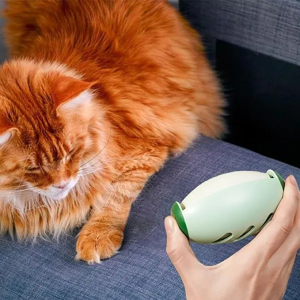 Limited time-Buy more Get more - Washable Lint Roller Ball