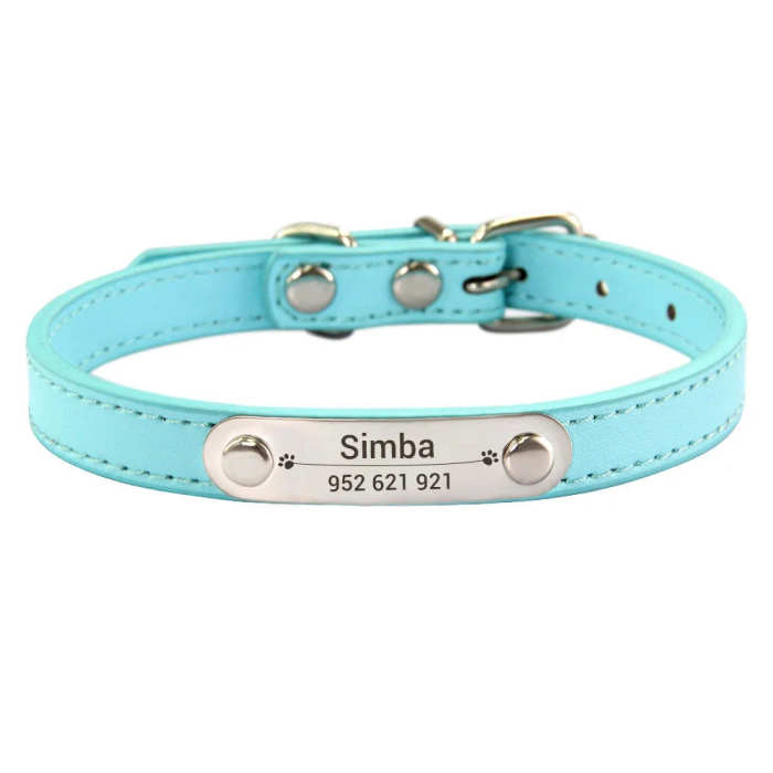 Customized Dog, Cat Collar Engraving