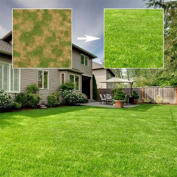 Biodegradable Grass Seed Mat