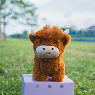 The Highland Cow Plushie