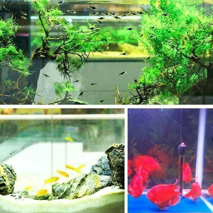 RUIWEN - Water Purifier Cube