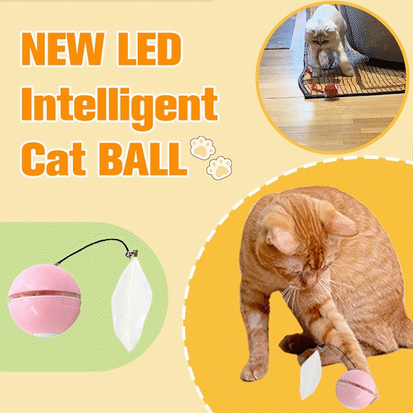 Automatic LED Intelligent Cat Ball