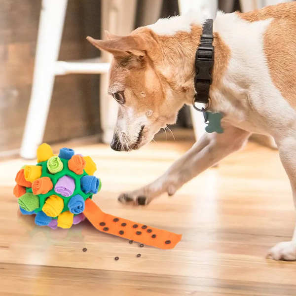 Paws 'n Treats Discovery Ball