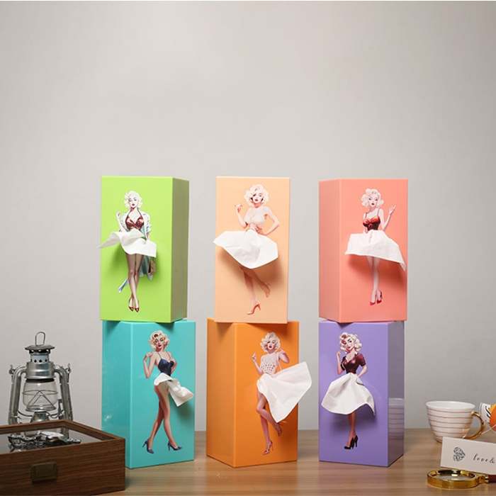 Creative Tissue Boxes Holder