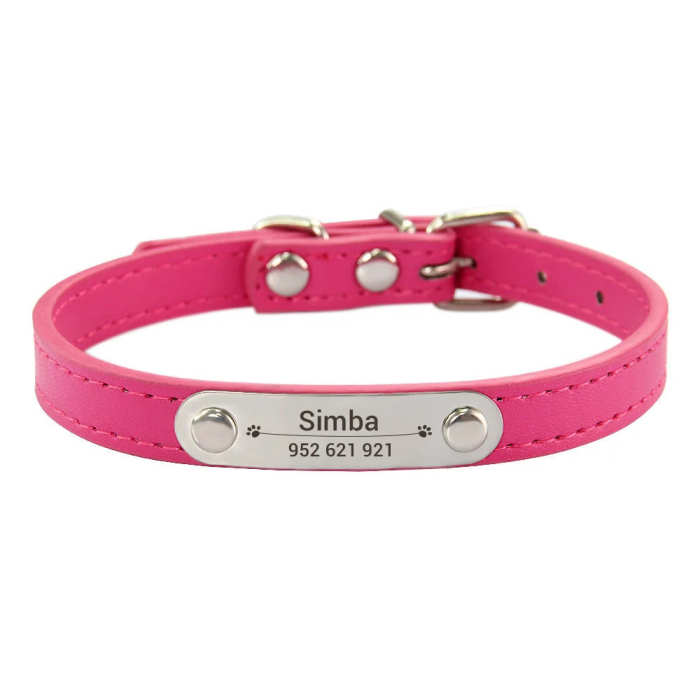 Customized Dog, Cat Collar Engraving