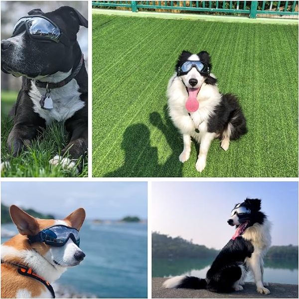 Buy More Save More - Outdoor Goggles for Your Dogs