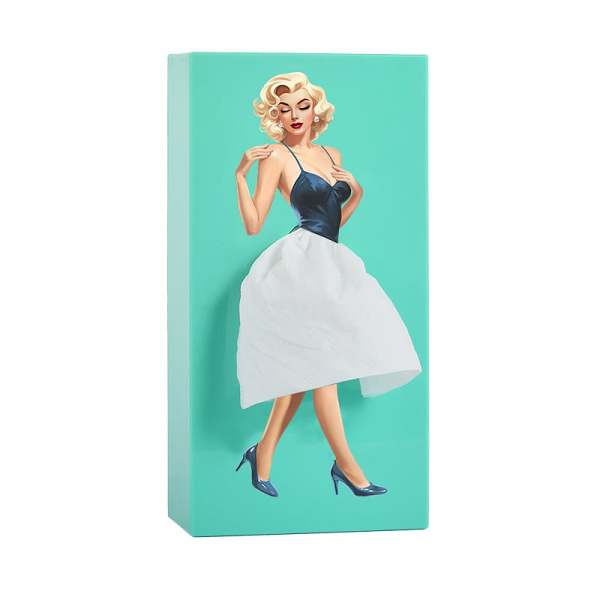 Creative Tissue Boxes Holder