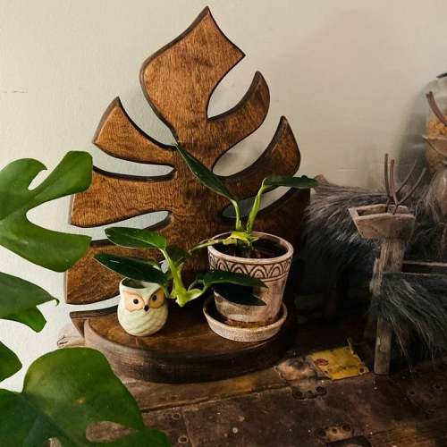 Wooden Monstera Wall Shelf BUY 2 SAVE $15