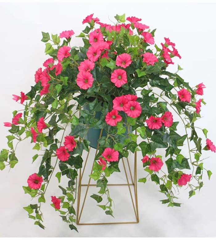2024 New upgrade hot salesUV Simulation Artificial morning glory