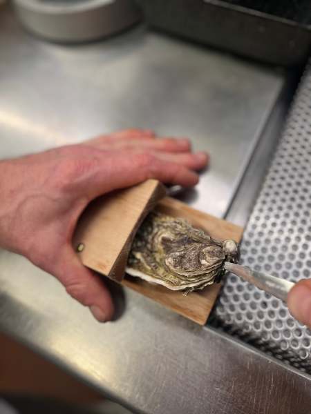 Oyster Shucking Clamp