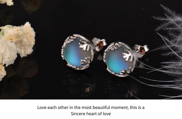Moonlight Silver Earrings Studs