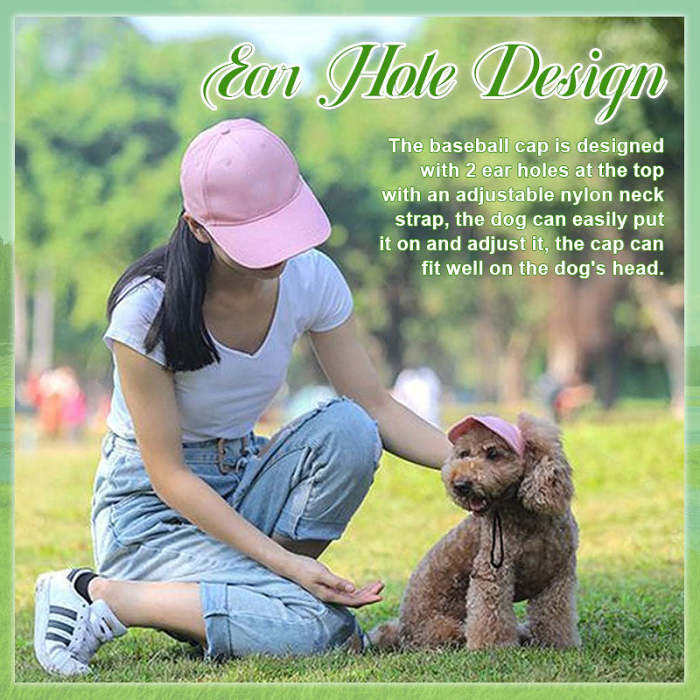 Outdoor Sun Protection Hood For Dogs