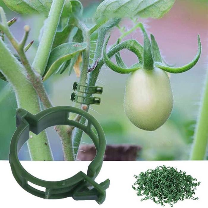 Plant Support Clips