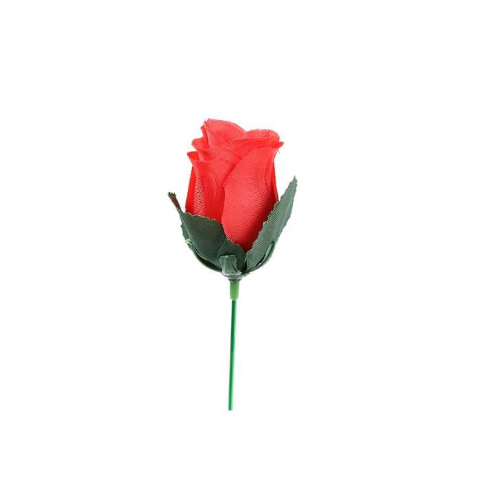 Flame Rose