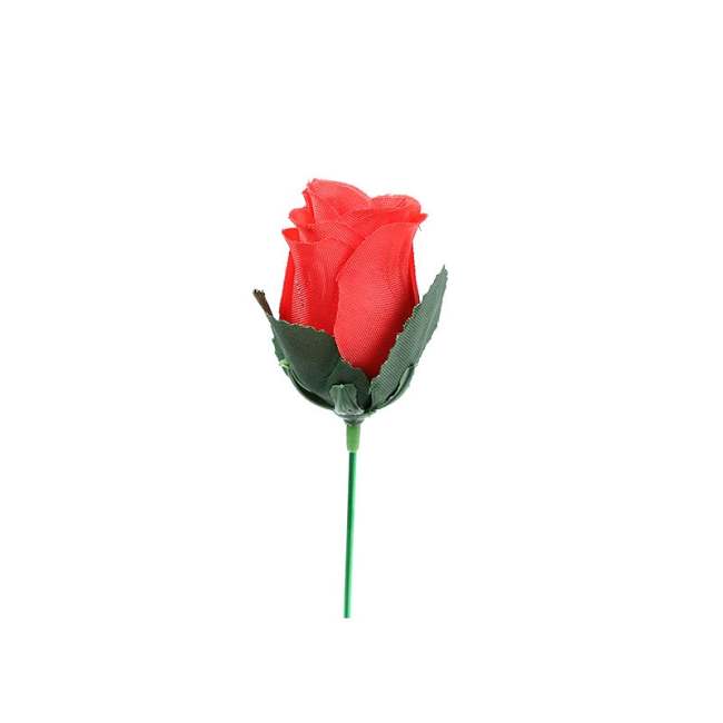 Flame Rose