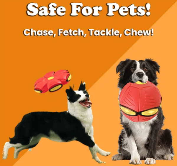 BUY MORE SAVE MORE Doggy Disc Ball
