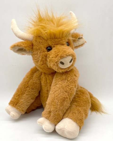 Highland Cow