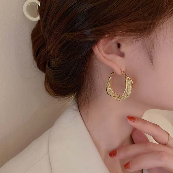 -S925 Fashion Twist Earrings