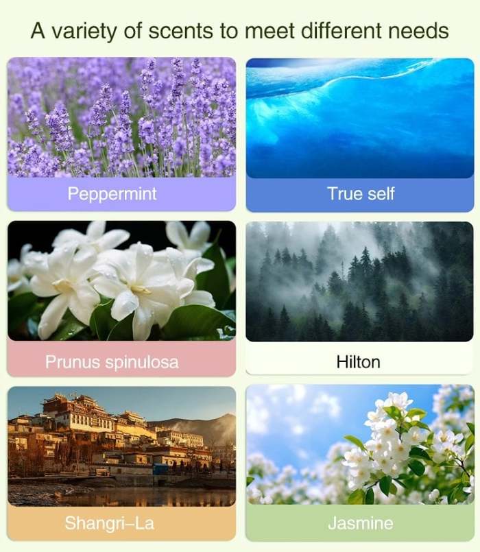 Hot SaleAutomatic Aromatherapy Diffuser
