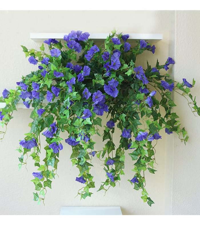 2024 New upgrade hot salesUV Simulation Artificial morning glory