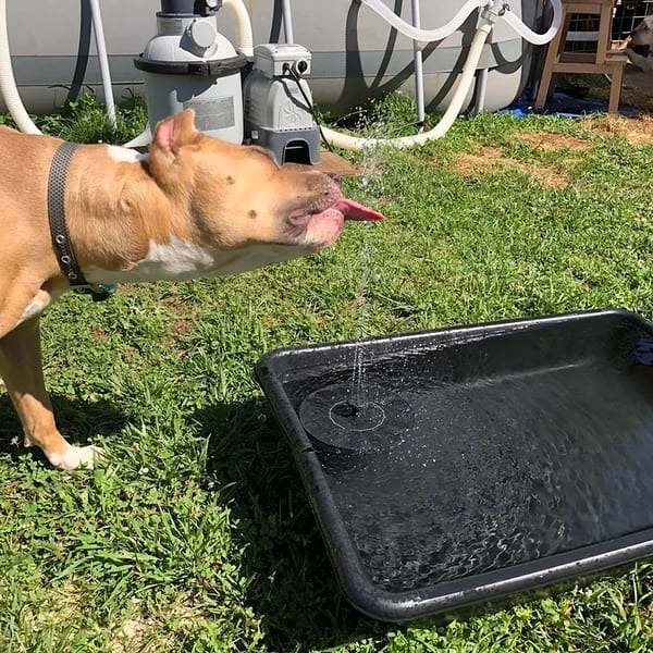 Summer SaleSolar Powered Water Fountain