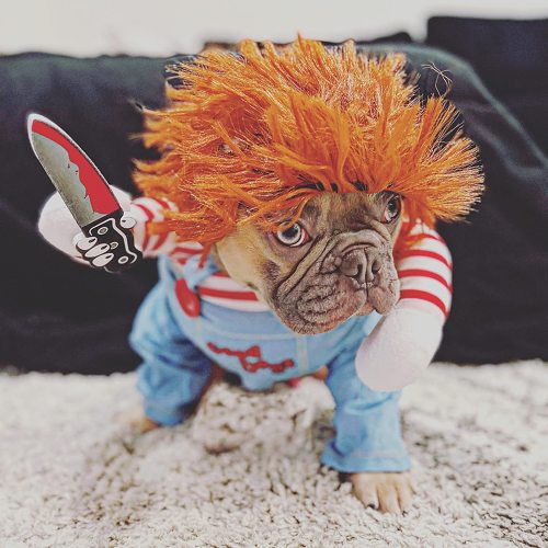 ( Hot Sale-49% OFF) Deadly Doll Costume  BUY 2 Free Shipping