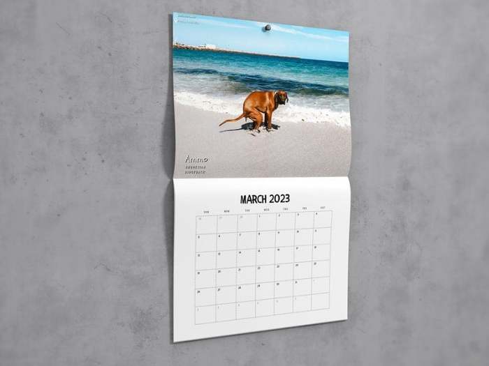 Funny Calendar Gift