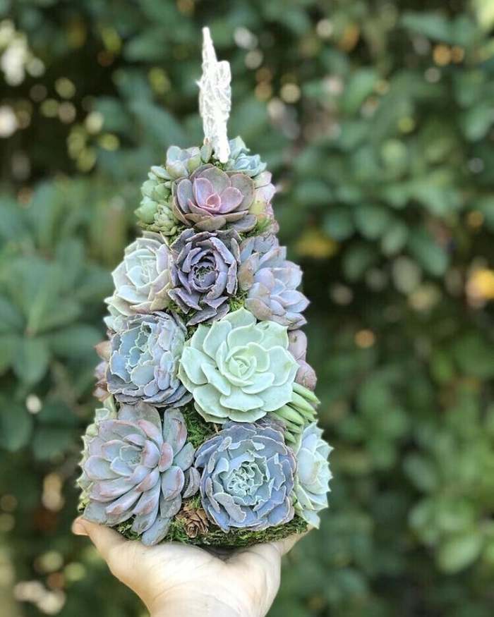 Last  Day 49% OFF - Succulent Art Tree