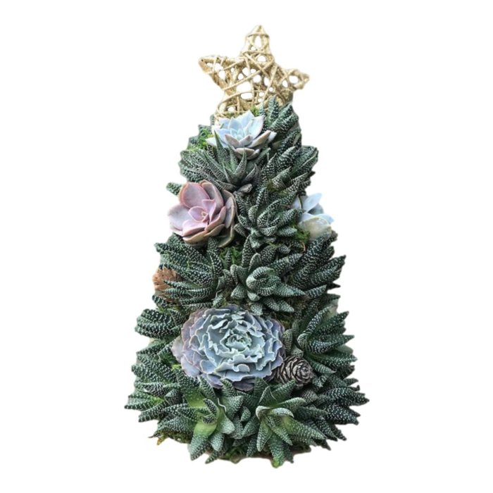 Last  Day 49% OFF - Succulent Art Tree