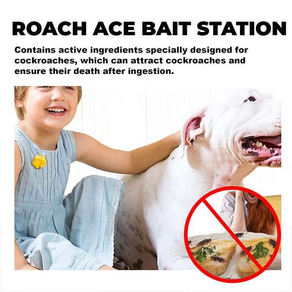 Bargain PriceRoach Ace Bait Station