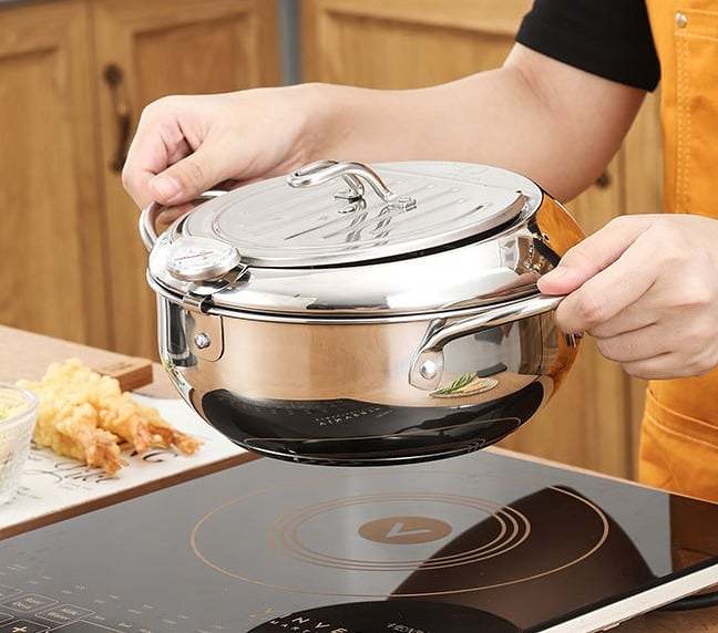 Stainless Steel Deep Fryer, Free Shipping Worldwide
