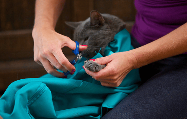 Cat Carry Pouch