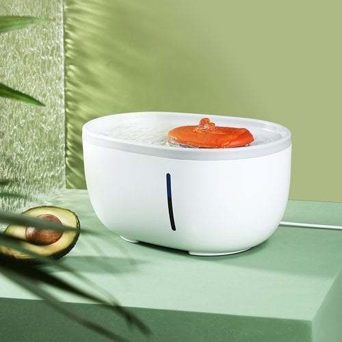 Avocado Water Fountain