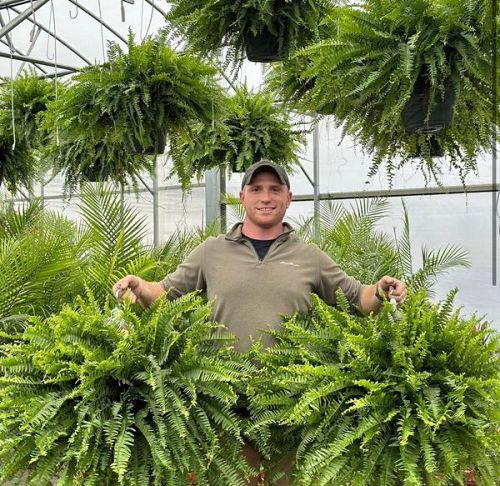 $9.99 On Sale Today OnlyUV Resistant Lifelike Artificial Boston Fern