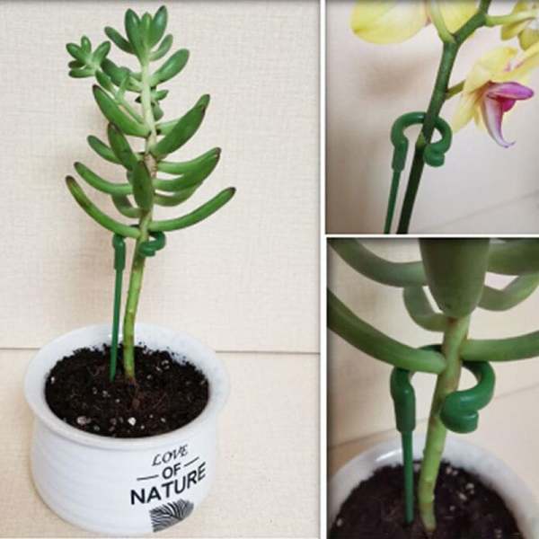 2022 Summer Hot Sale - 49% OFF Plant Support Stake