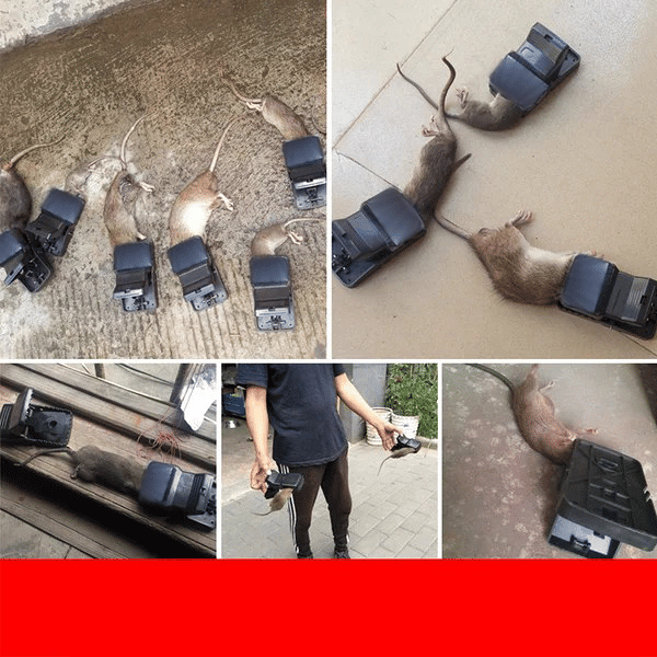 49% OFF - High Sensitivity Powerful Mouse Trap