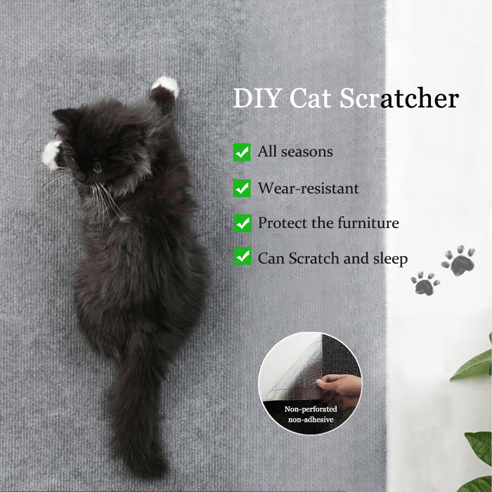 Cat Scratch - Proof Climbing Pad