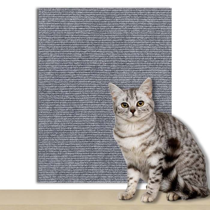 Cat Scratch - Proof Climbing Pad