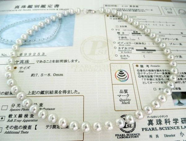 50% OFF Only Today Japan AAAA - Akoya Pearl Necklace