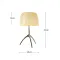 Small Size Beige Cover