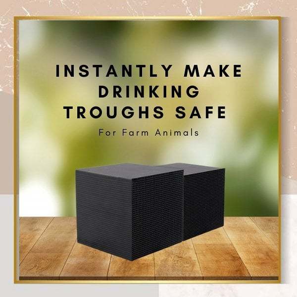 (49% OFF- Buy more save more) -- BarnManiaWater Purifier Cube