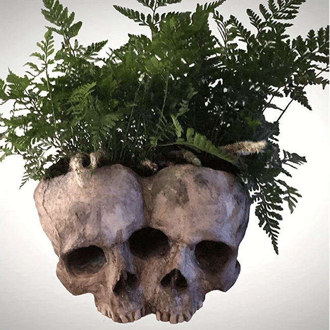 Skull-A-Bloom Skull Pot
