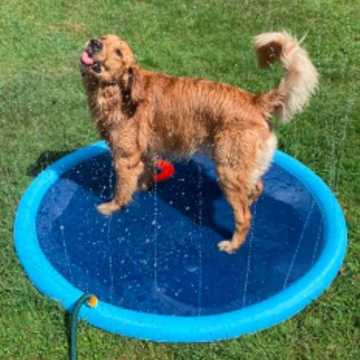(Father's Day Gift-49% OFF) Dog Splash Sprinkler Pad