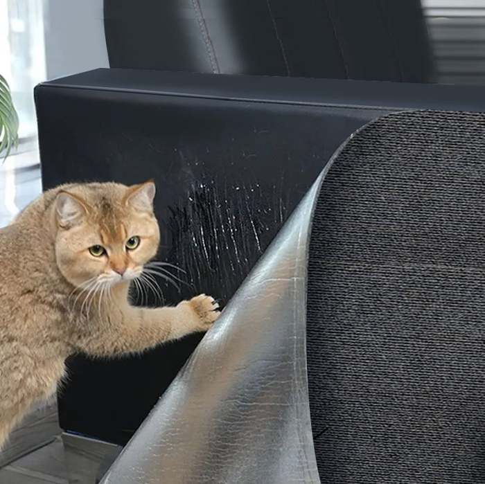 Cat Scratch - Proof Climbing Pad