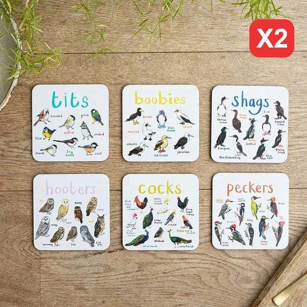 Set of 6 Bird Pun Coasters