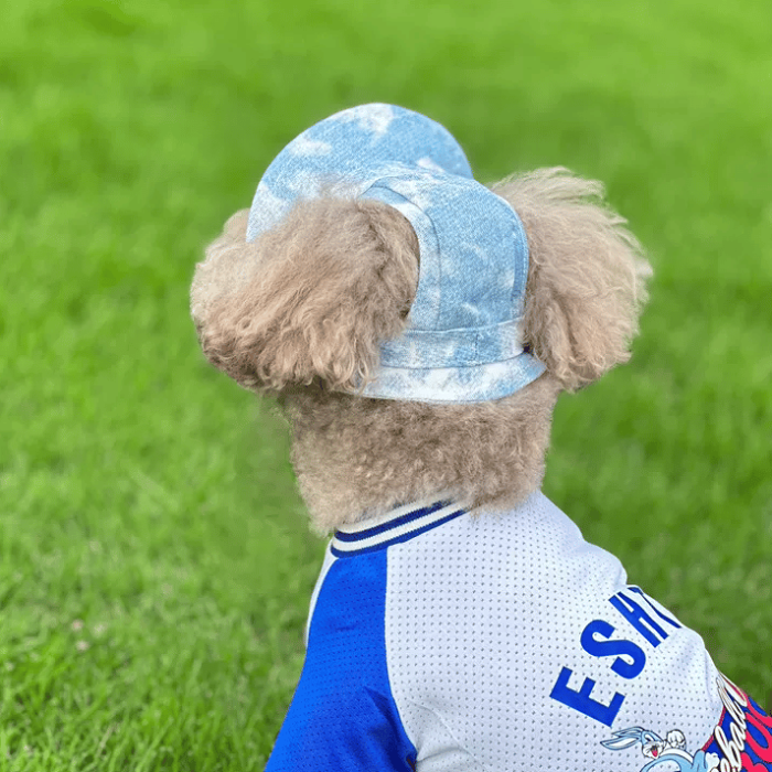 Pet Sun Hat