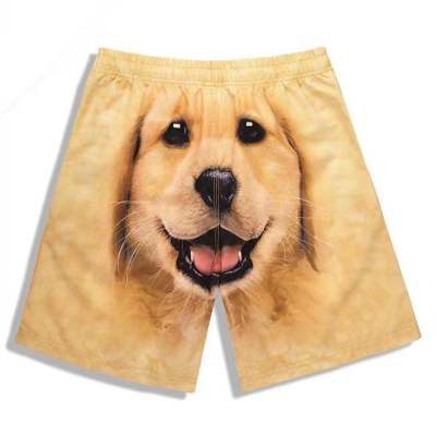 Funny Golden Retriever Casual Quick-drying Shorts