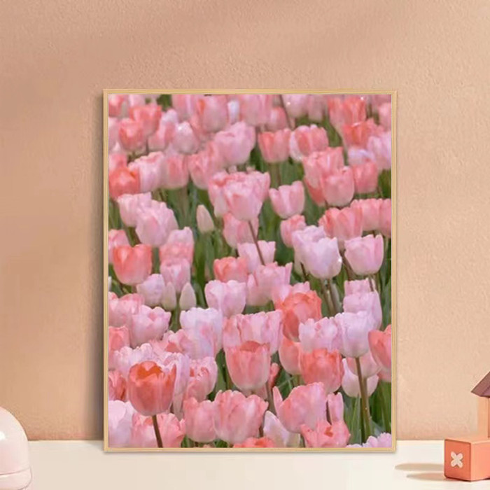 Paint by Numbers Kit