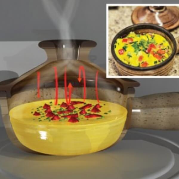 Hot Sale 49% OFF-Ceramic Nonstick Microwave Cooker- Comes with Free Gourmet Recipes