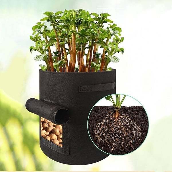 Summer  - Potato Grow Planter Bag